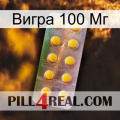 Вигра 100 Мг new11